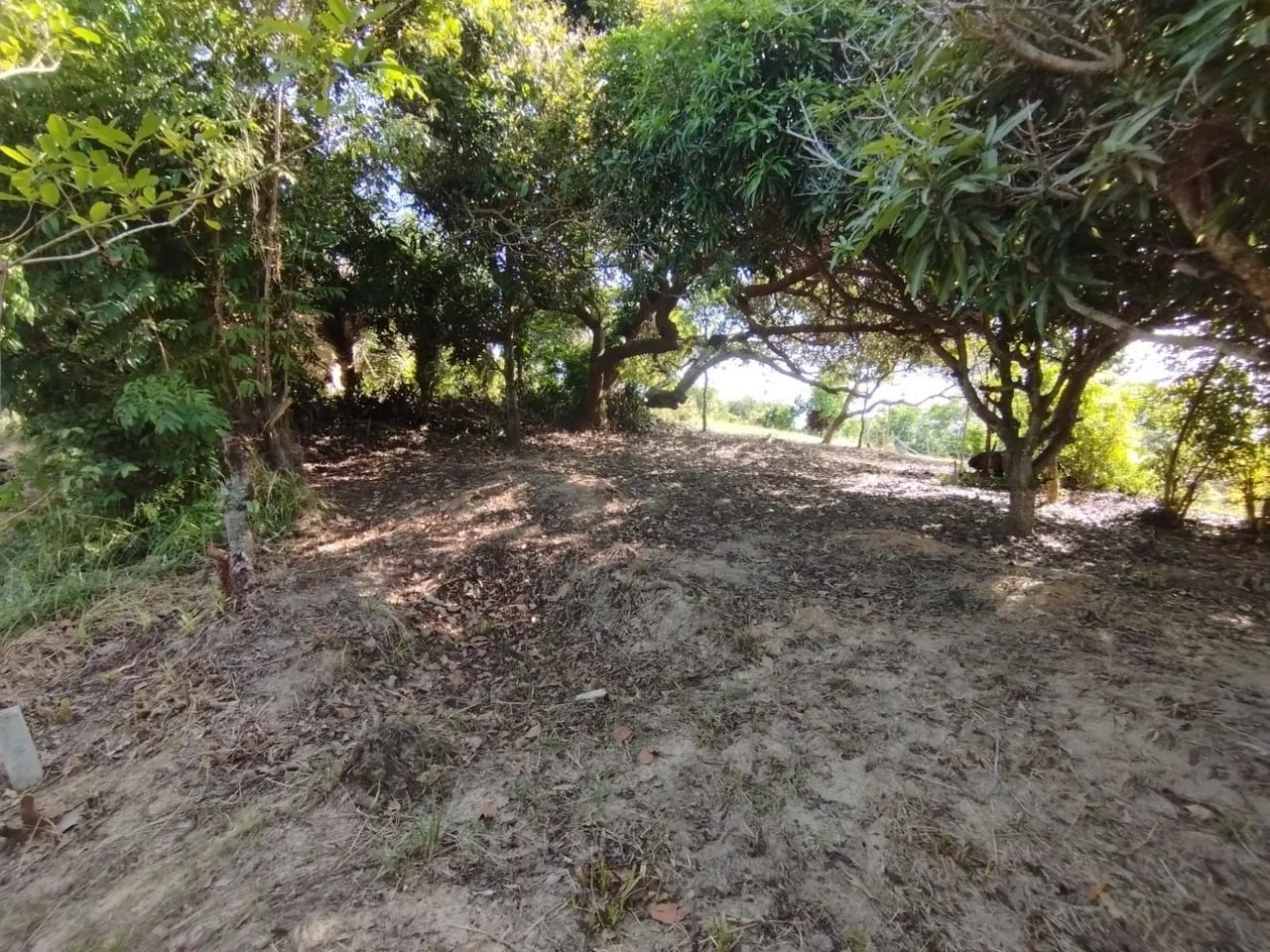 Terreno na ilha de Itaparica R$ 12.000,00 - Foto 4