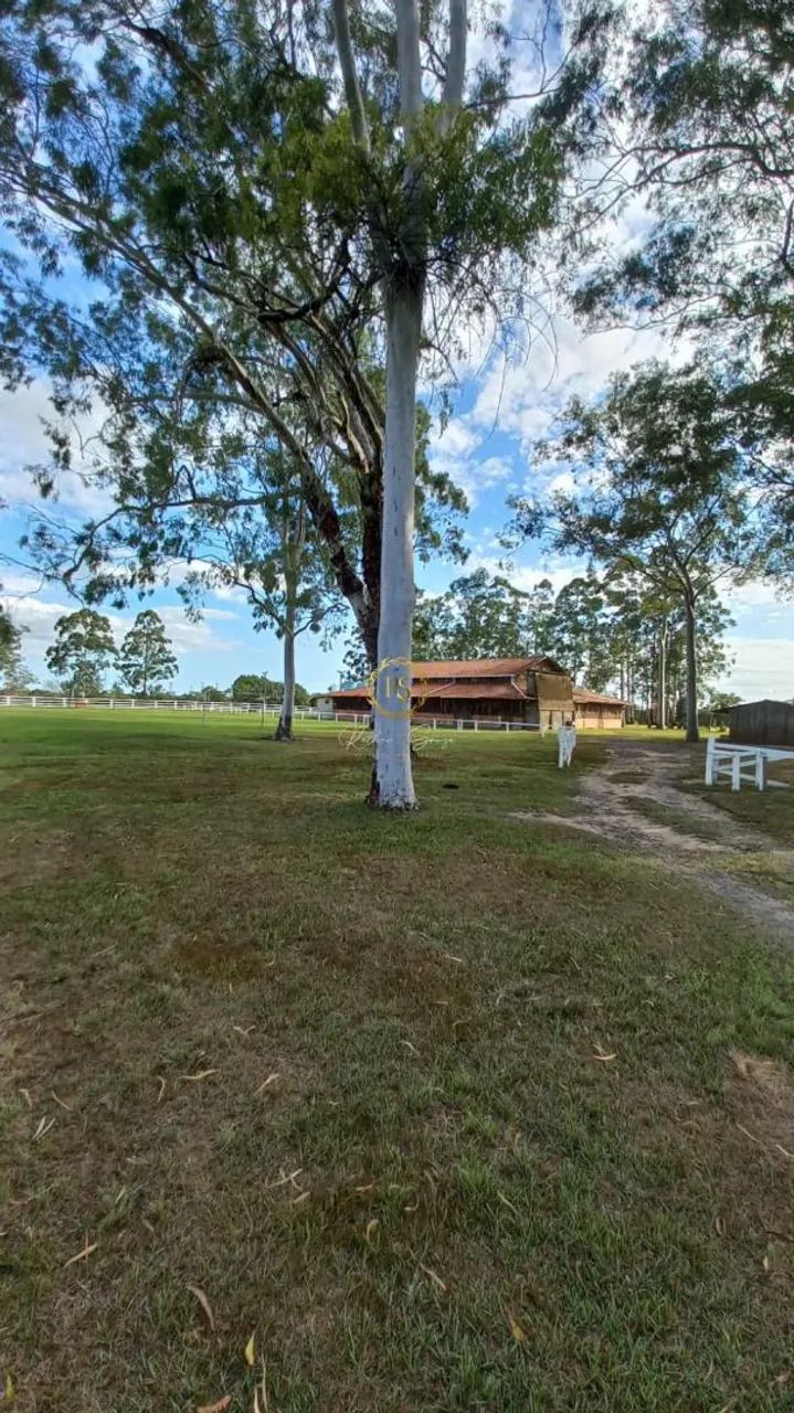 Sítio usado à venda em Nova Santa Rita, Porto da Figueira REF: CS0108 - Foto 10