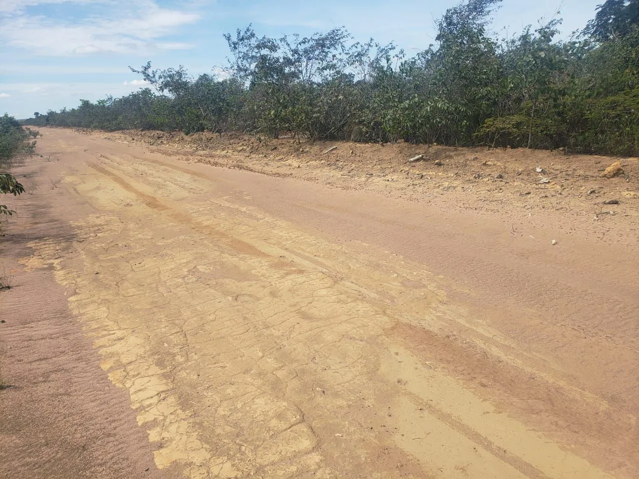 Fazenda a venda. 