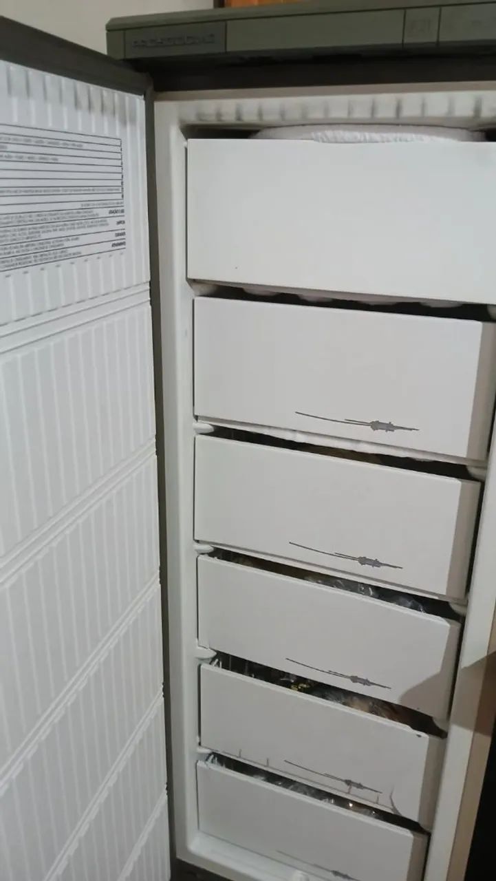 FREEZER VERTICAL PROSDÓCIMO 210 LITROS  - Foto 2