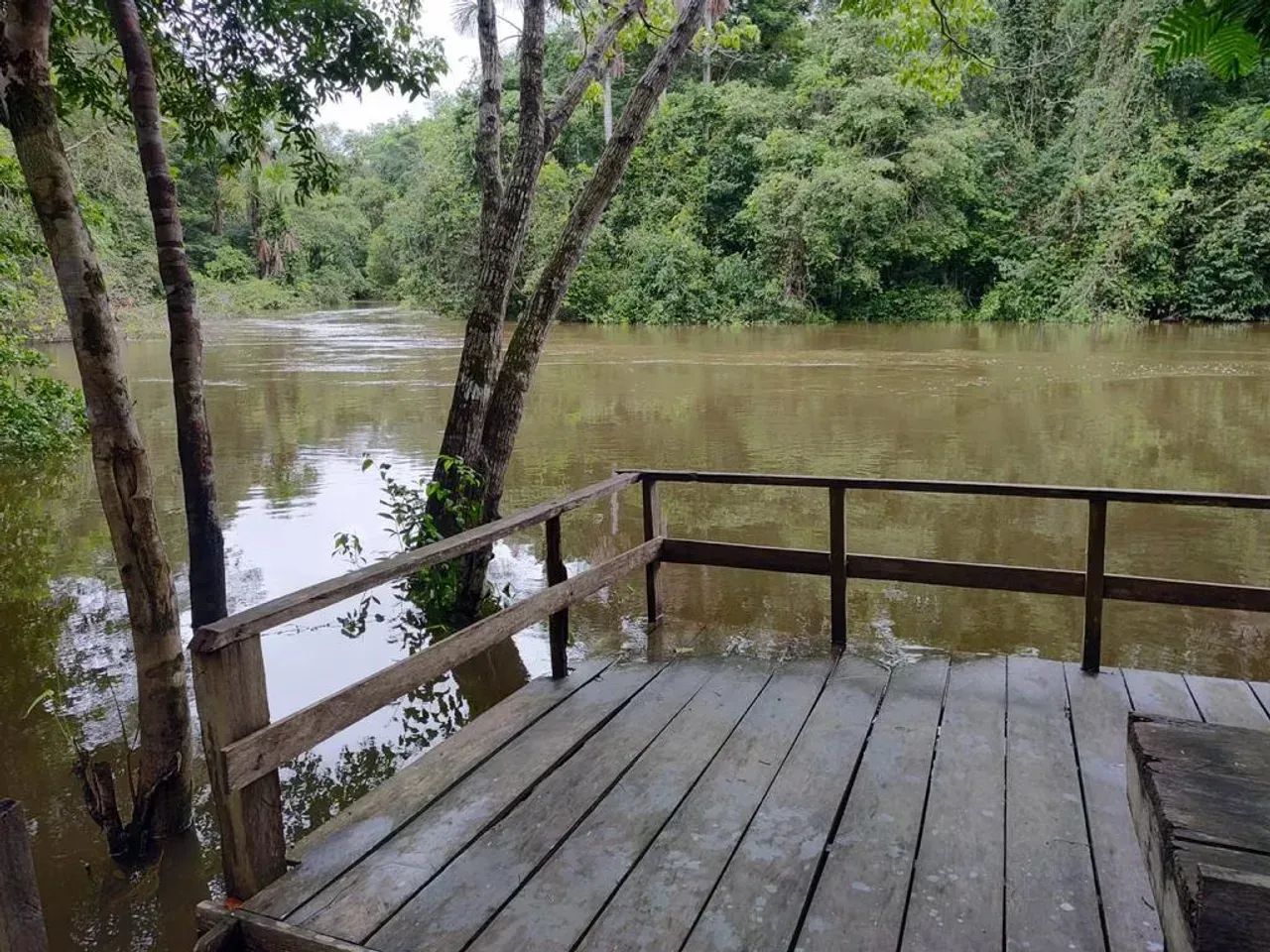 Sítio Rio Preto da Eva Ramal Baixo Rio - Foto 2