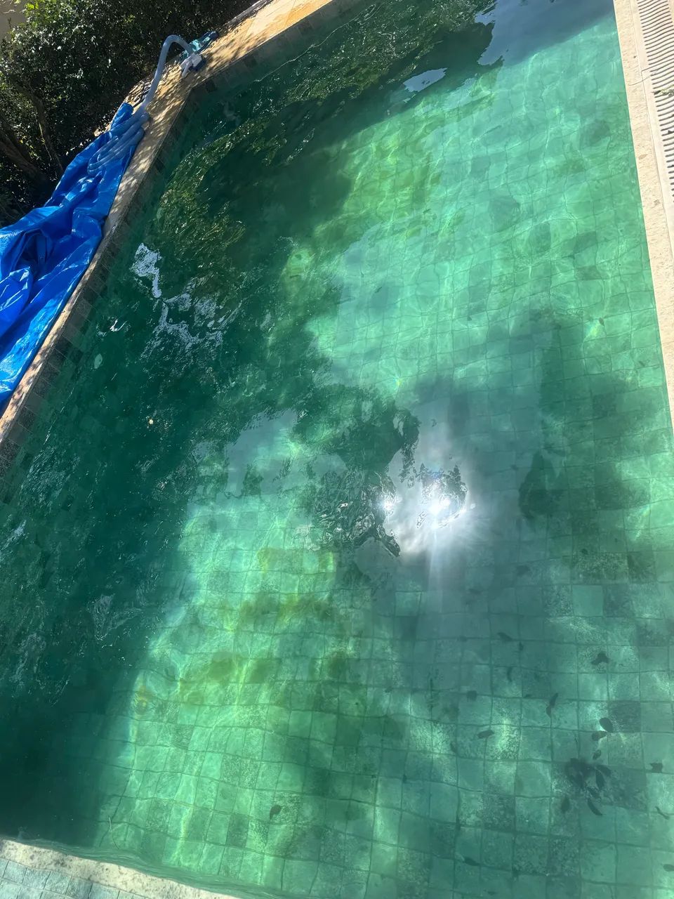 Piscineiro 