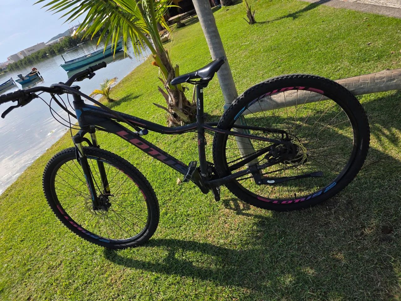 Bike lotus Aro 29