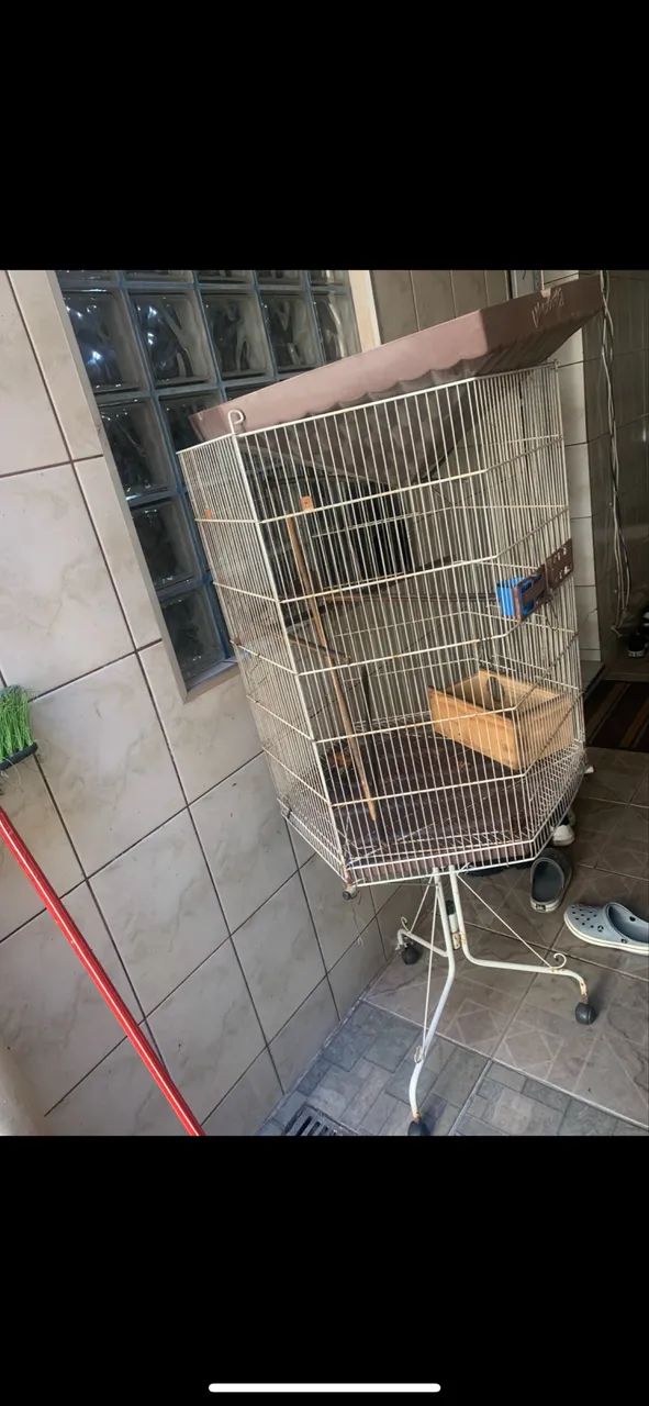 VIVEIRO PARA MACACOS , PÁSSAROS ETC ? - Foto 2