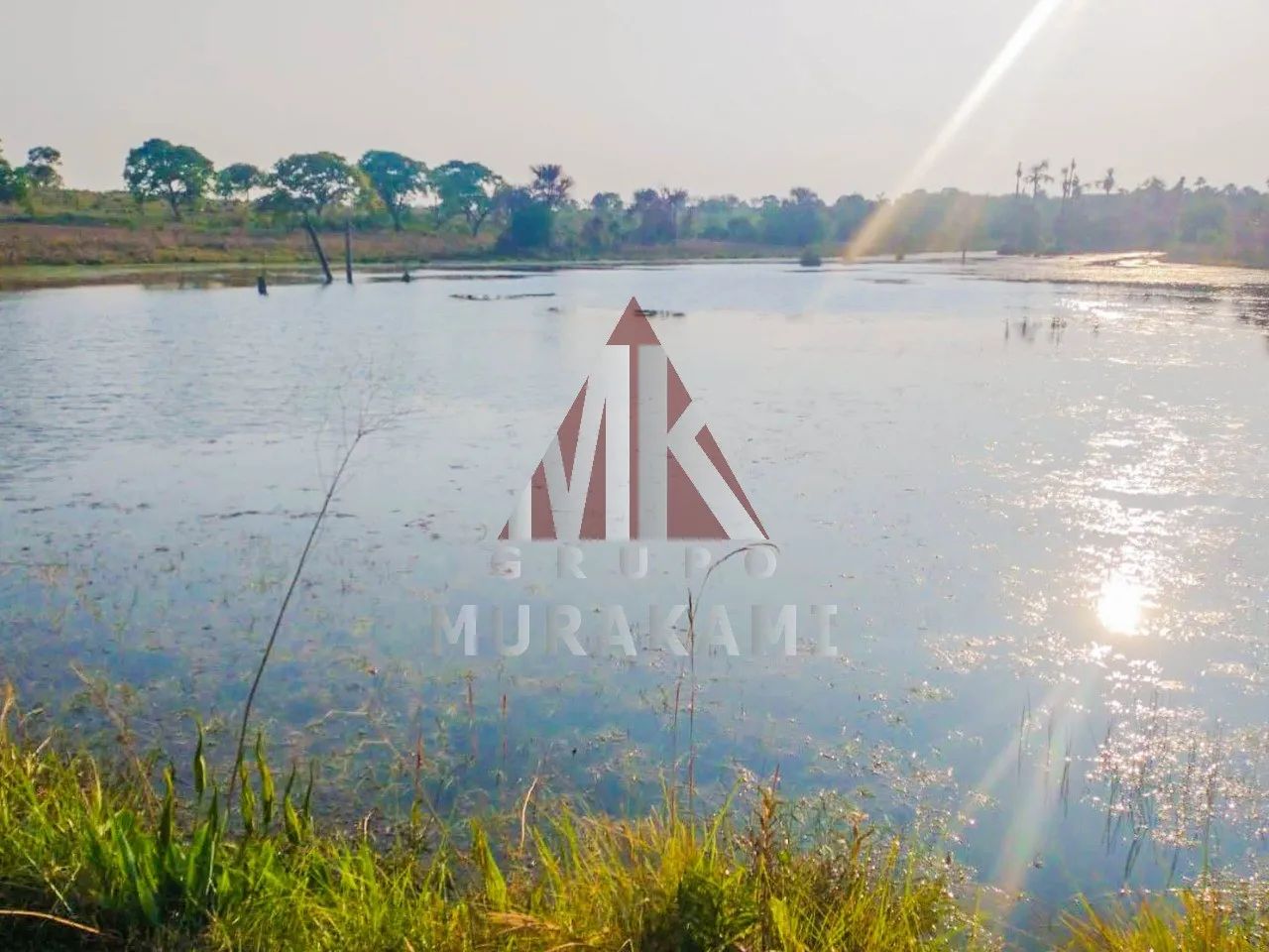 FAZENDA - CAMPO GRANDE - MS - Foto 5