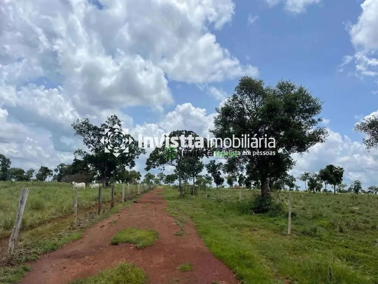 Fazenda de 117 alqueires com topografia plana em Divinópolis