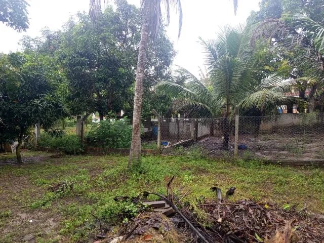 Vendo Sitio em Sao Cristovãoc/2600m2 - Foto 5