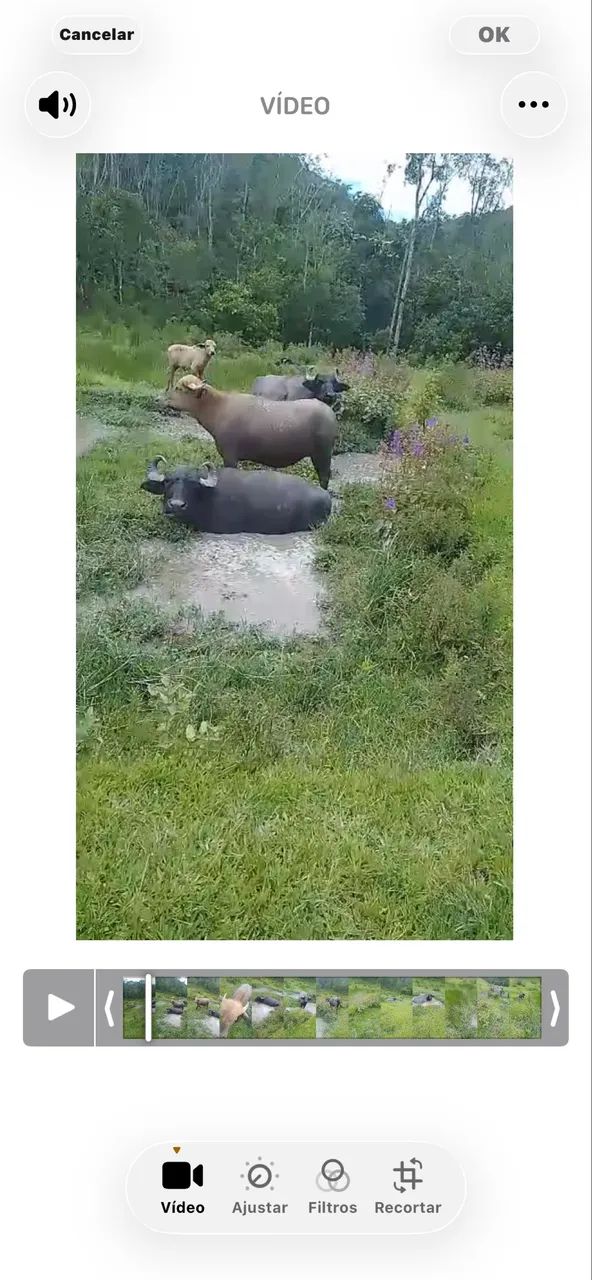 Foto - São Paulo - Paraíso