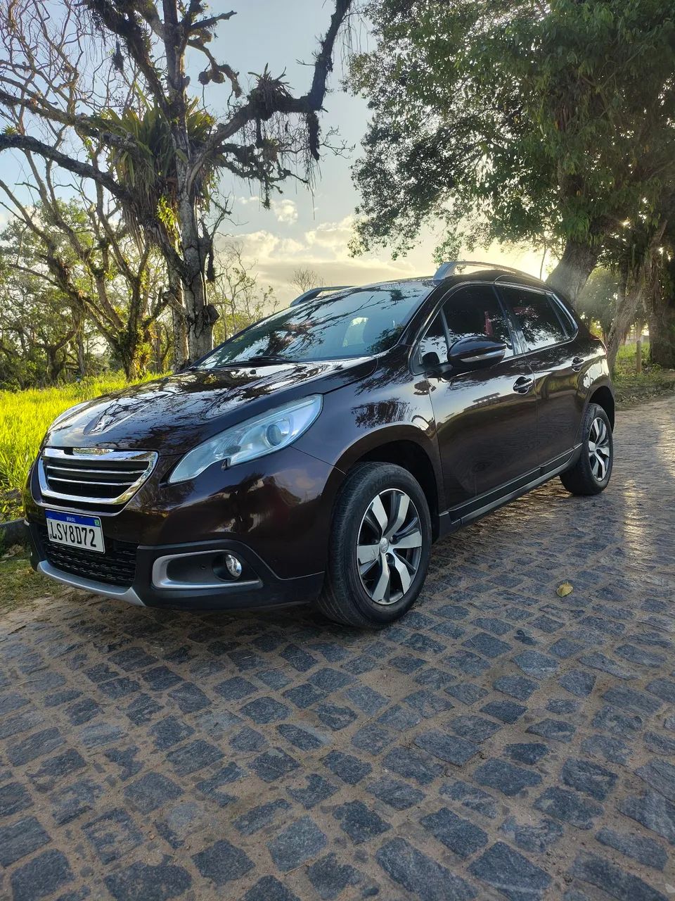 Peugeot 2008 2008 Griffe 1.6 Flex 16V 5p Aut. 2017