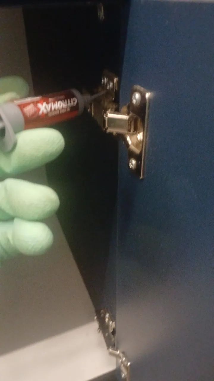 Dedetização completa contra insetos  - Foto 2