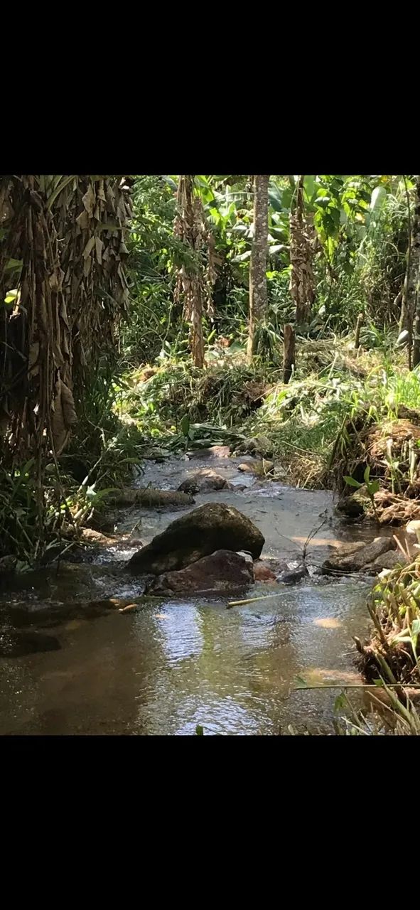 Terreno em galdinopolis vendo  - Foto 3