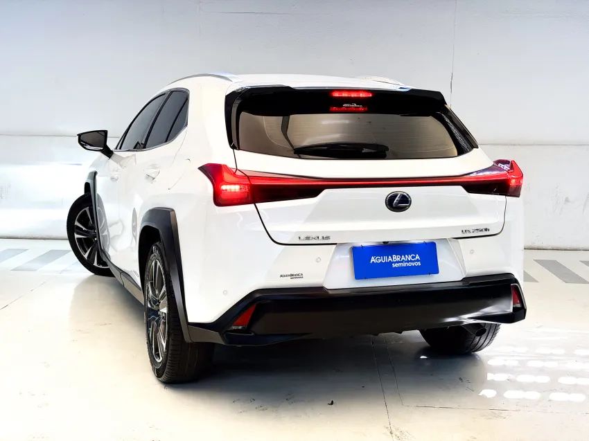 Lexus UX-250h Luxury 2.0 16V Aut.(hybrid), foto 7 de 19