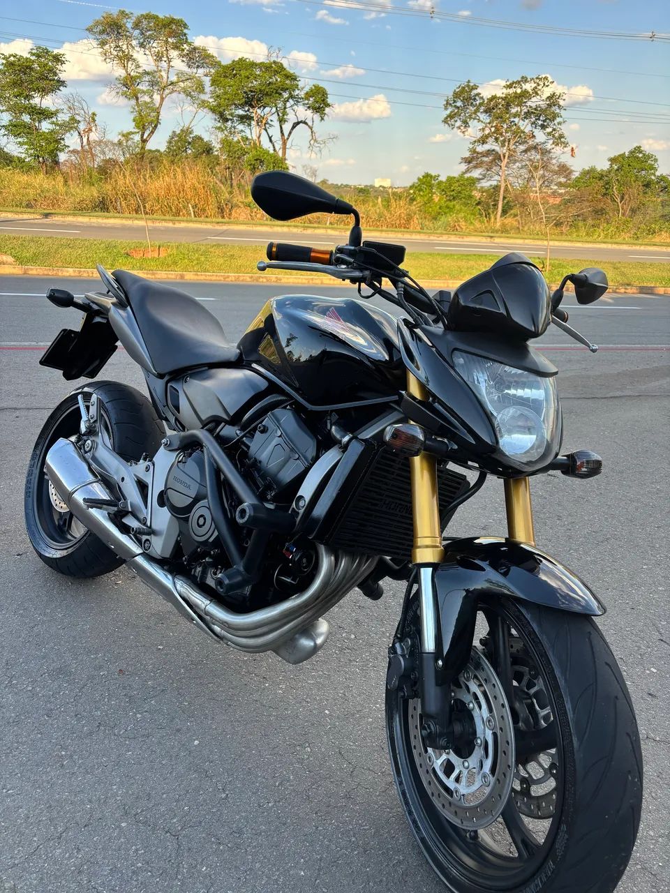 Hornet 600F 