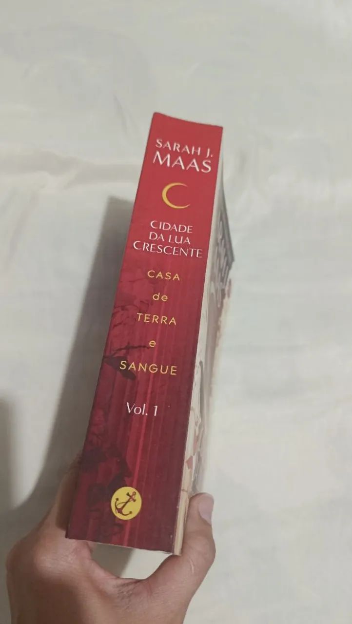 LIVRO CASA DE TERRA E SANGUE  - Foto 2