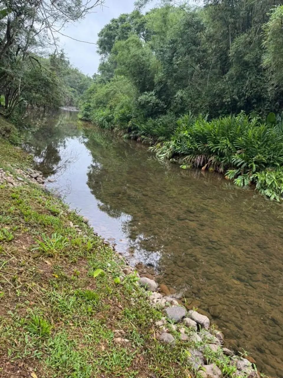 Sitio com Rio no fundos todo cercado e gramado. - Foto 5