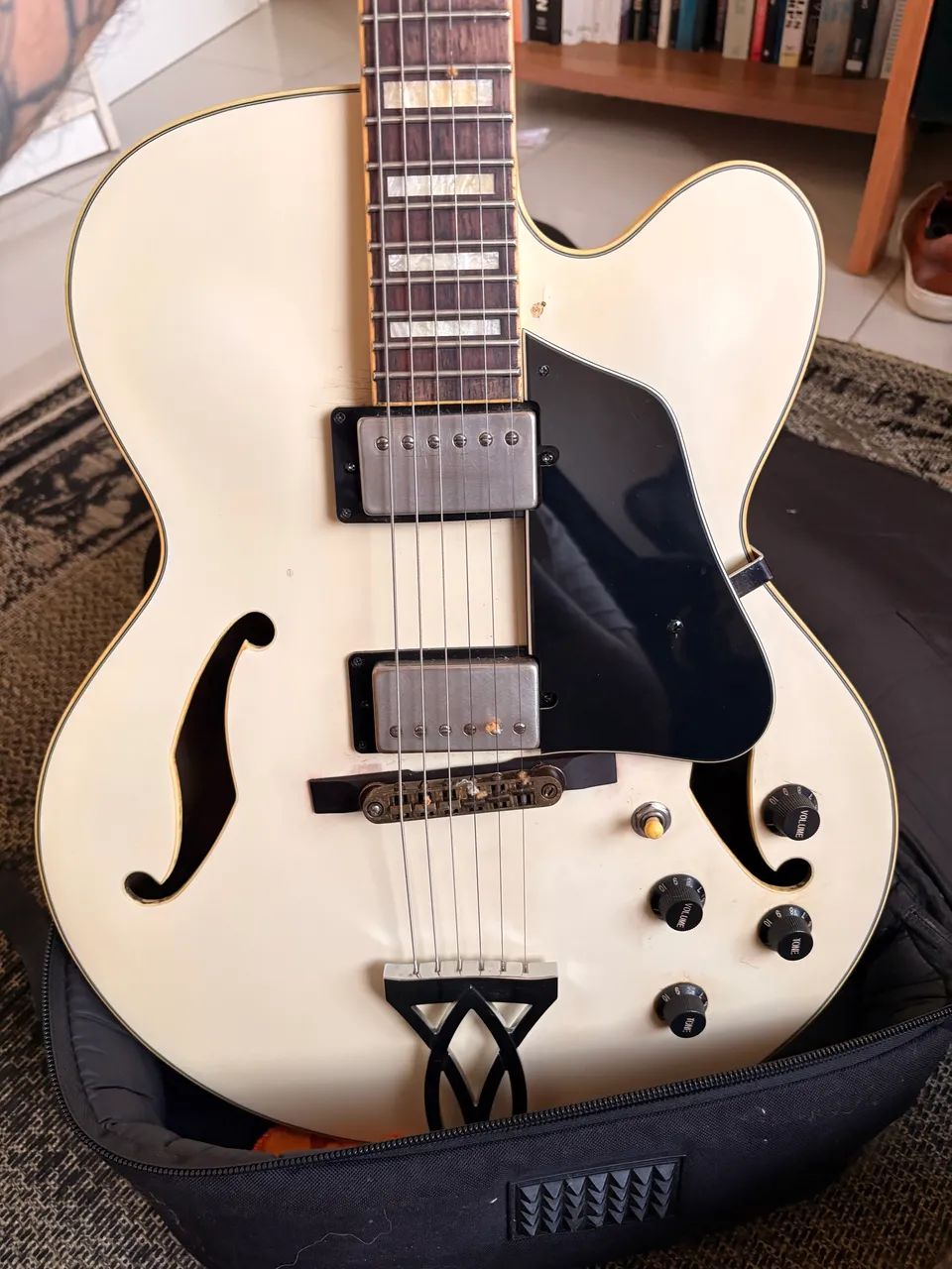 Ibanez AF75 Custom  - Foto 2