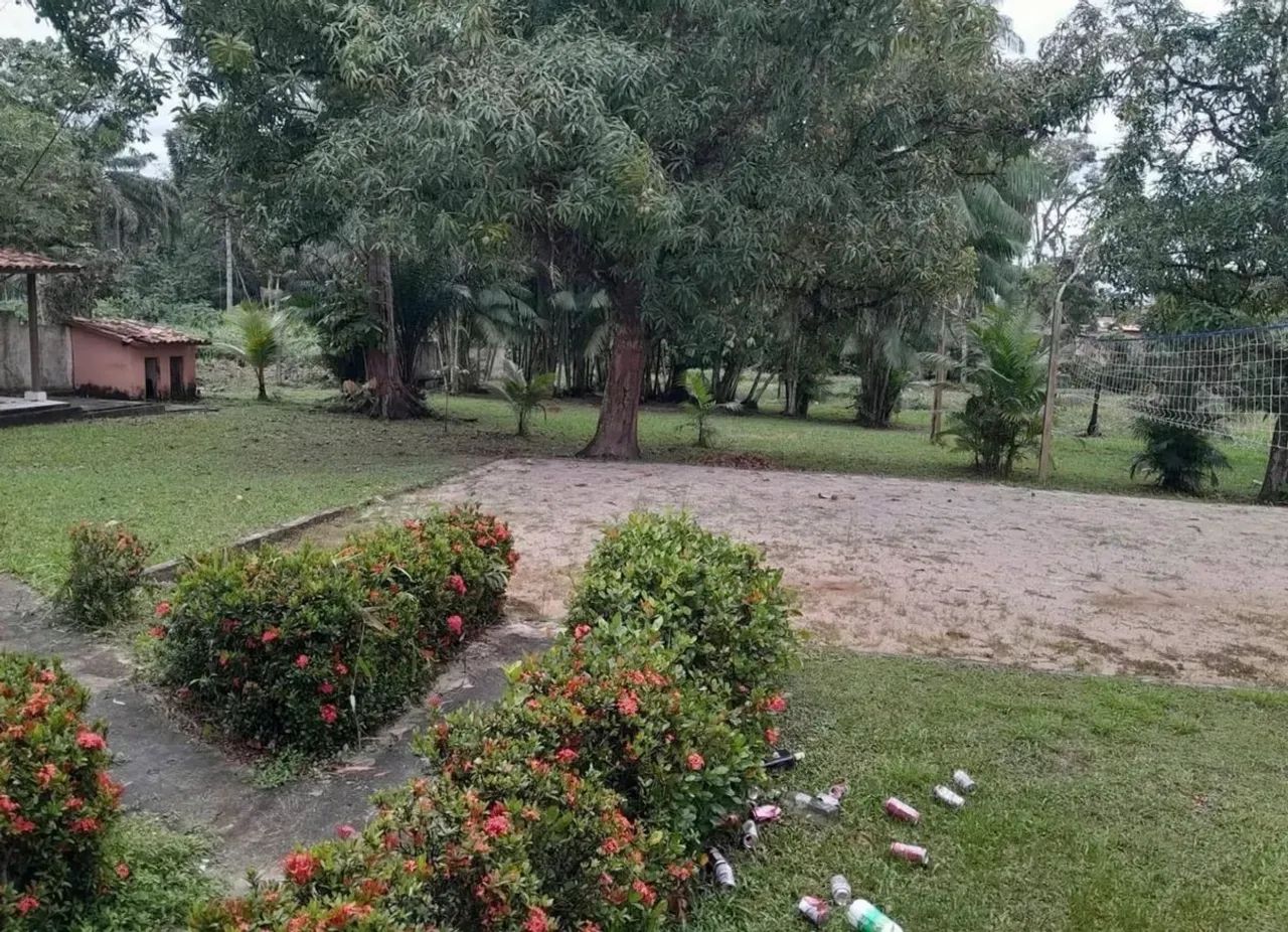 CHÁCARA A VENDA EM CAMPO LARGO  - Foto 3
