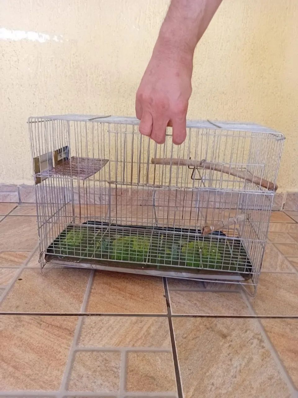 Gaiola ferro - Foto 4