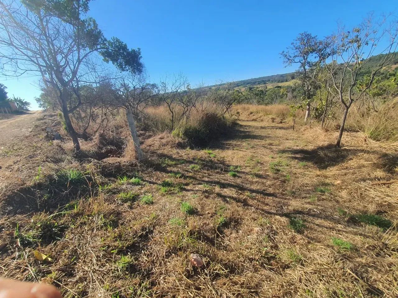 Vendo ótima chácara de 2 hectares em Planaltina DF - Foto 5