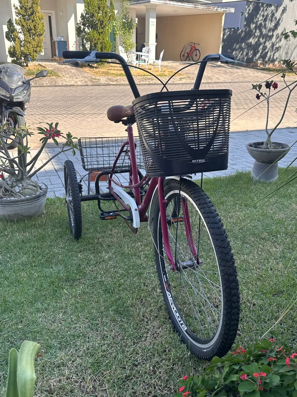 Bicicleta Triciclo  - Foto 2
