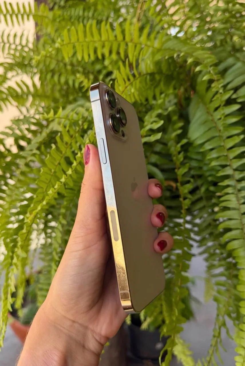 iPhone 13 Pro Max  - Foto 2
