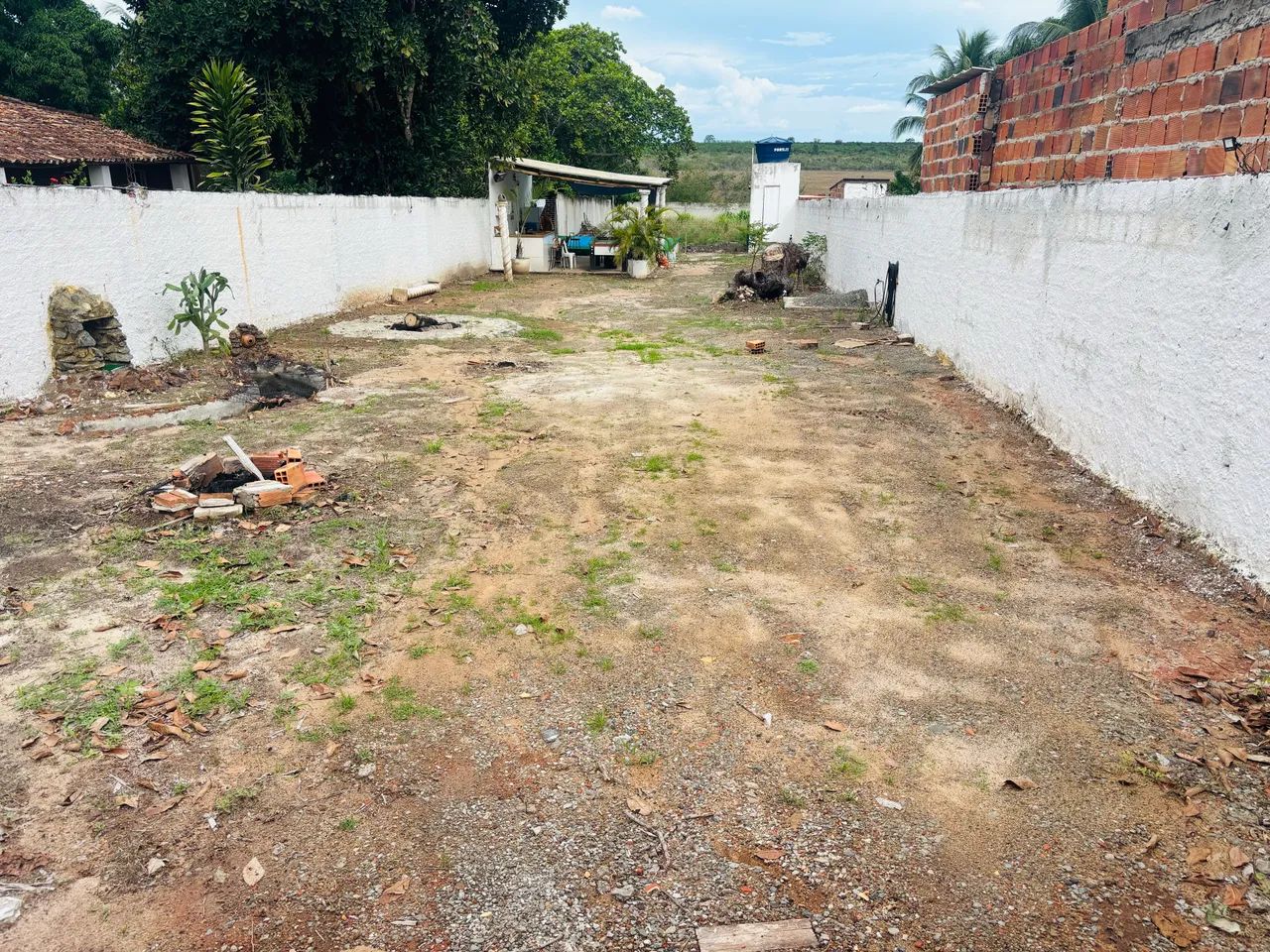 Sítio terreno às margens da BR110 - Foto 4