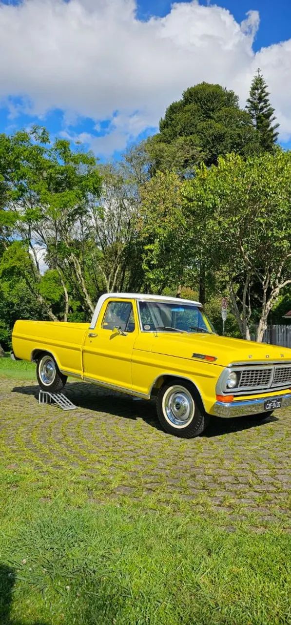 Ford F-100 Super 3.6 1974