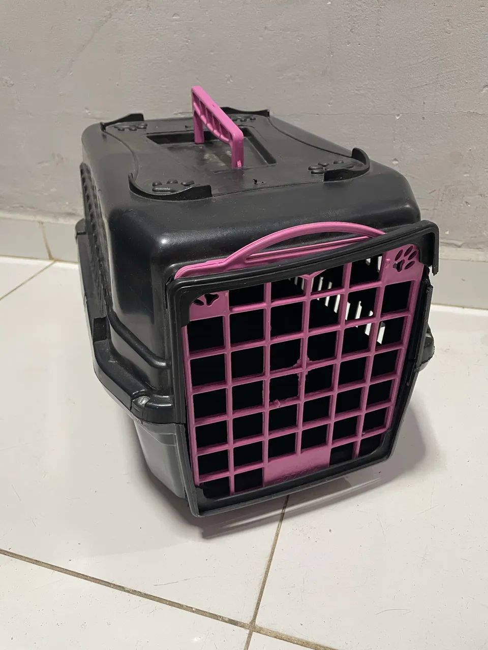 Caixa de transporte pet e cones 