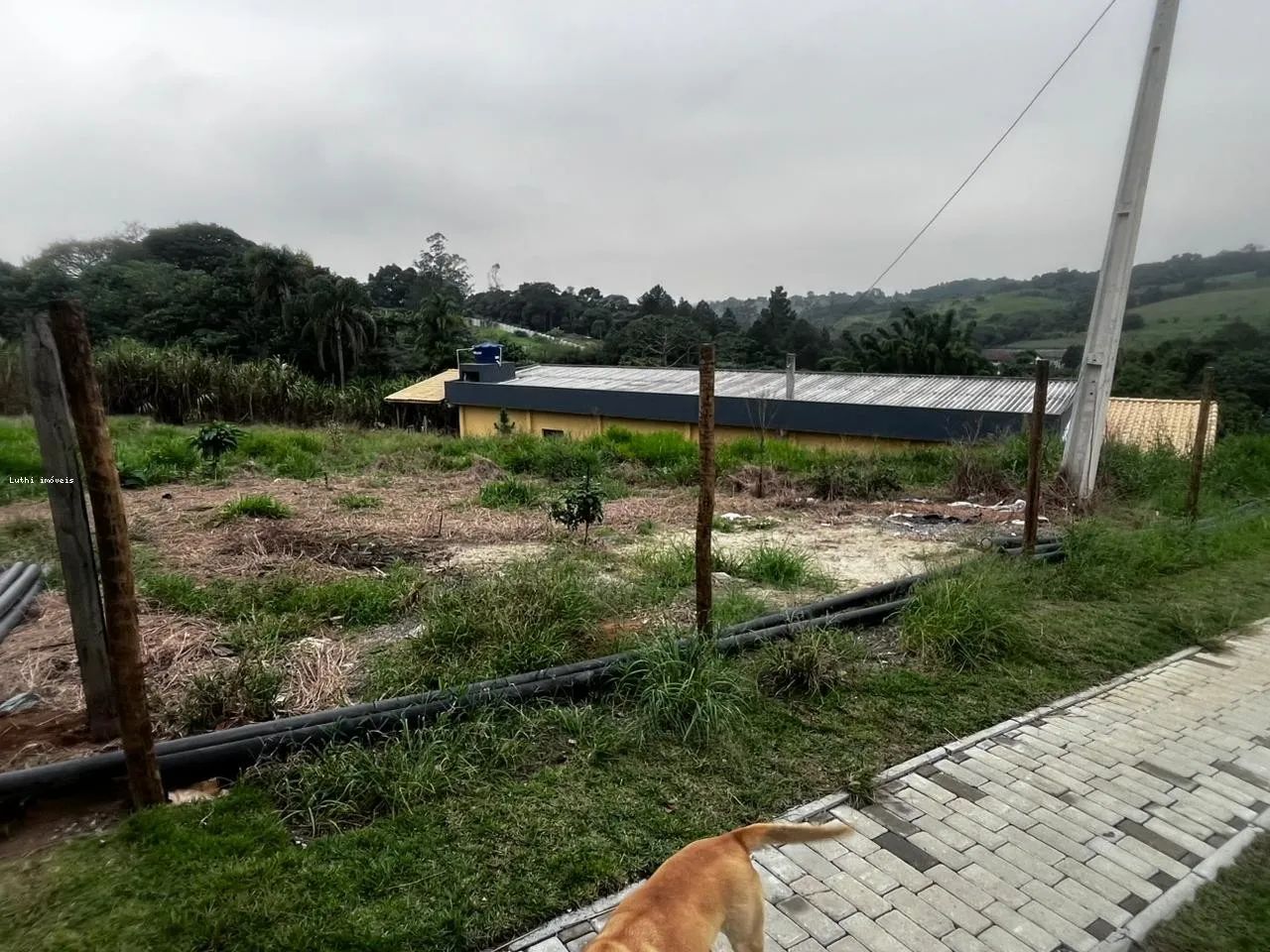 Terreno para Venda em Santa Isabel - Foto 4
