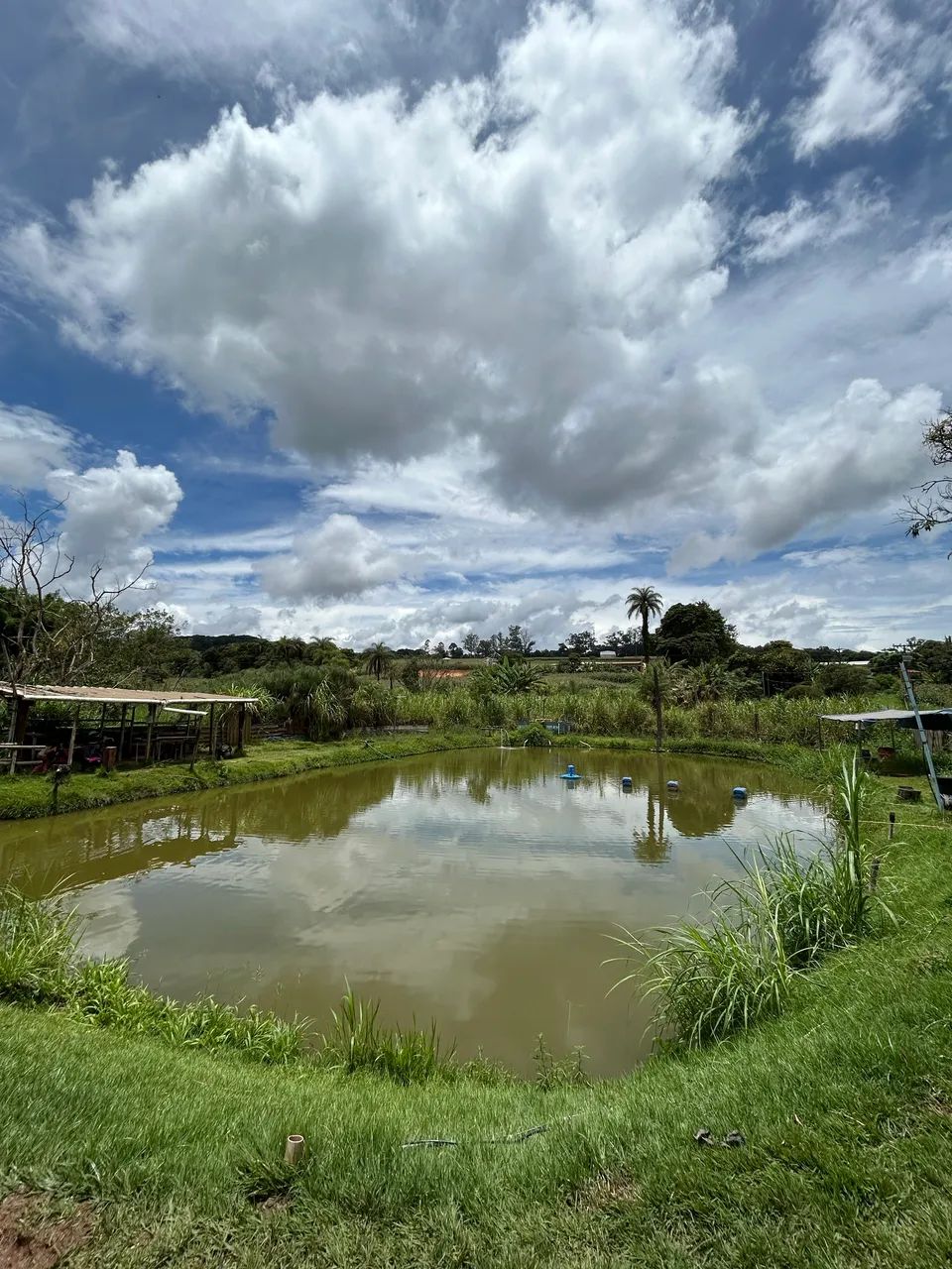 Vendo Pesque Pague de Porteira Fechada  - Foto 4