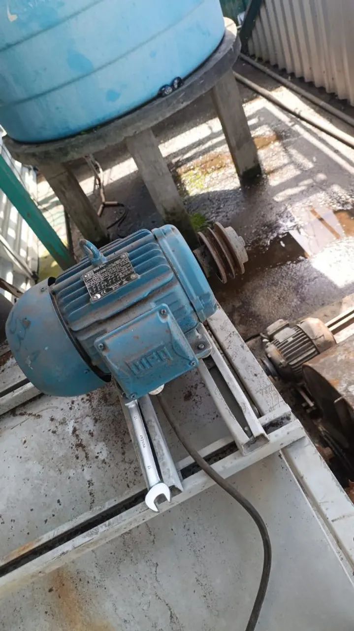 Motor de indução elétrico Weg bifásico