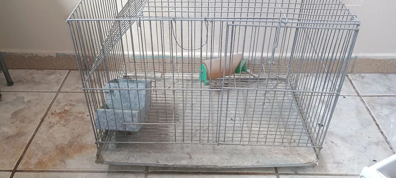 Gaiola para ramister  - Foto 2