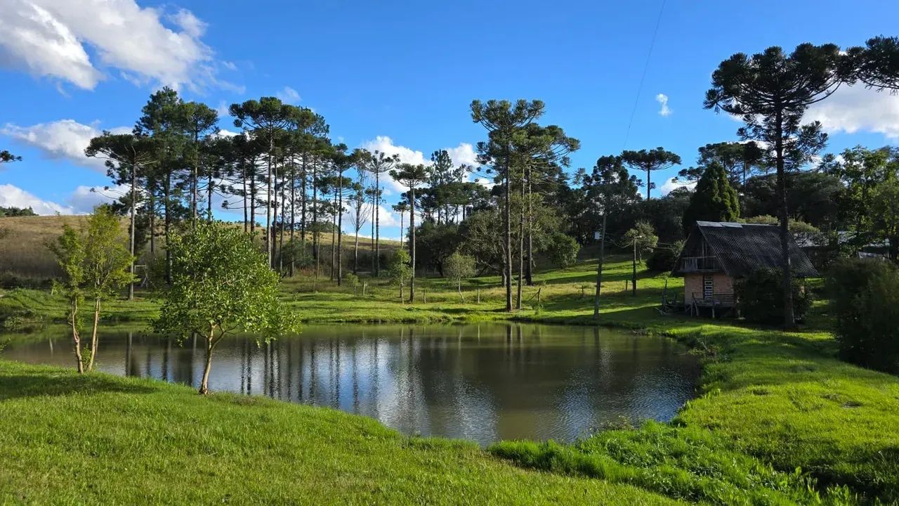 Terreno pronto para morar em Rio Rufino - Foto 5