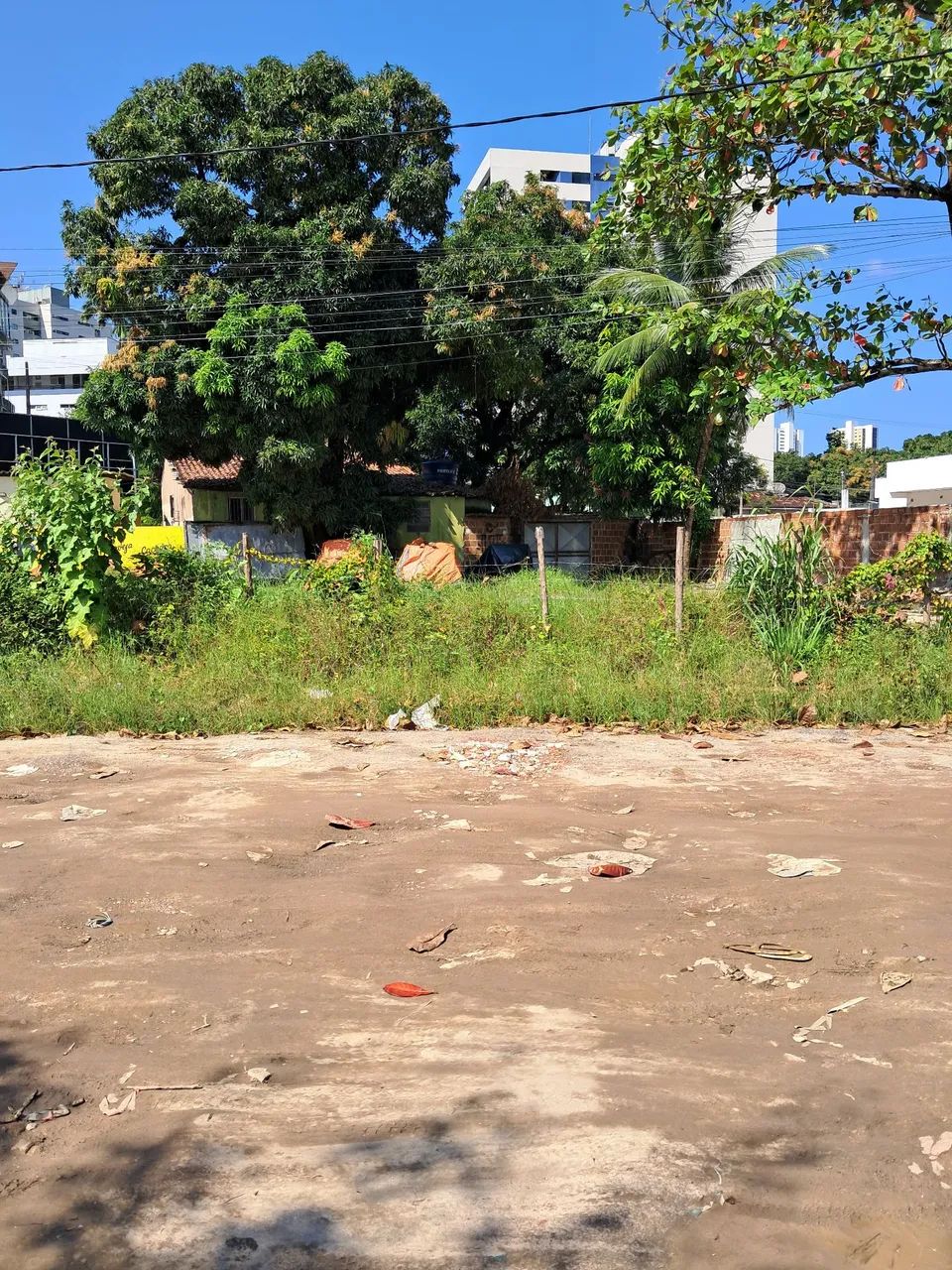 Terreno 