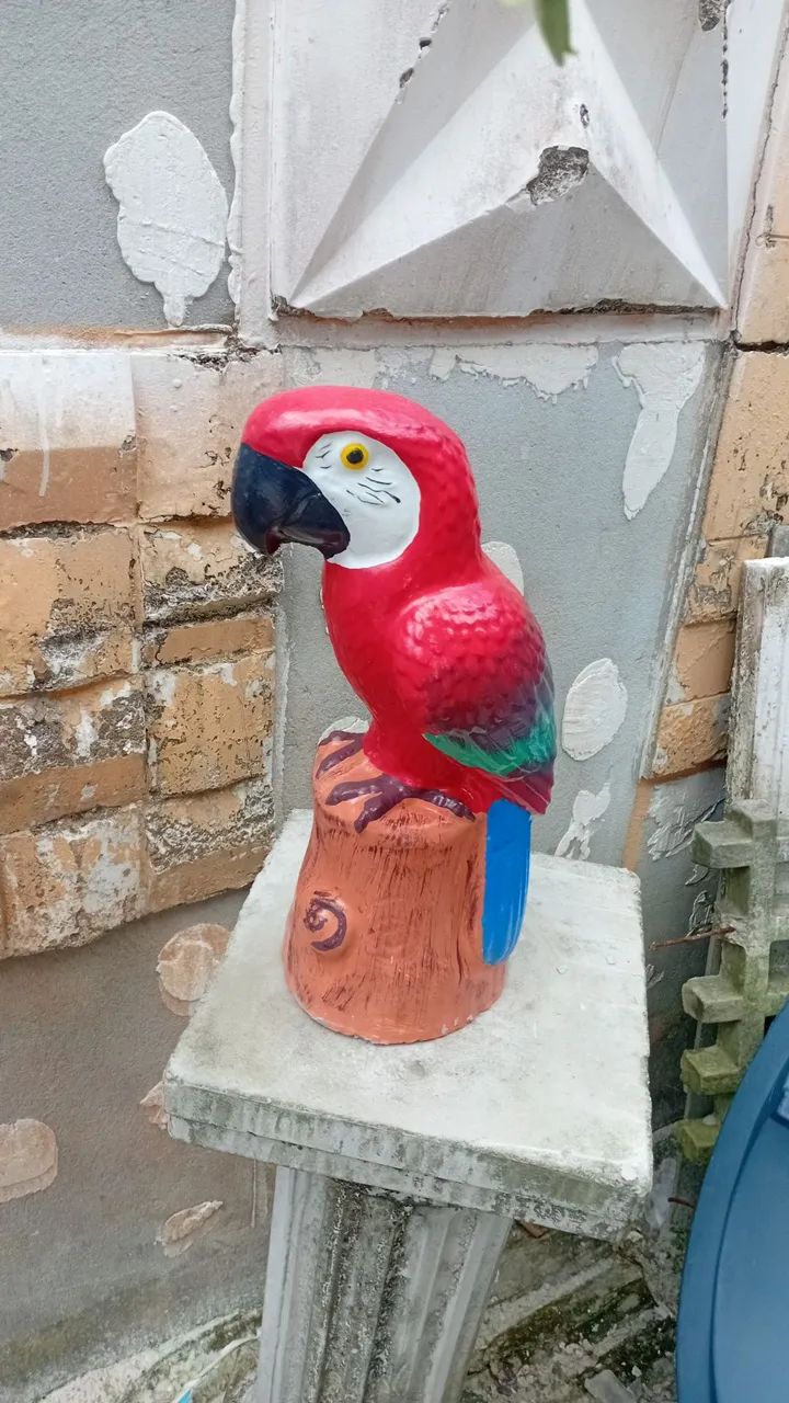 Pingadeira de muro  - Foto 5