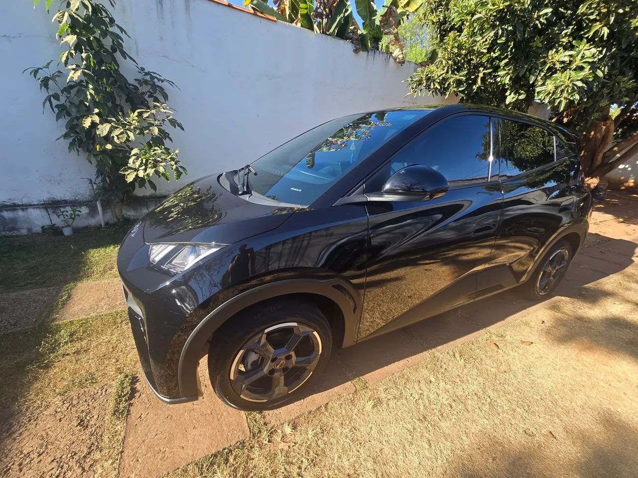 BYD Dolphin Mini (Elétrico) 2025 - Foto 4