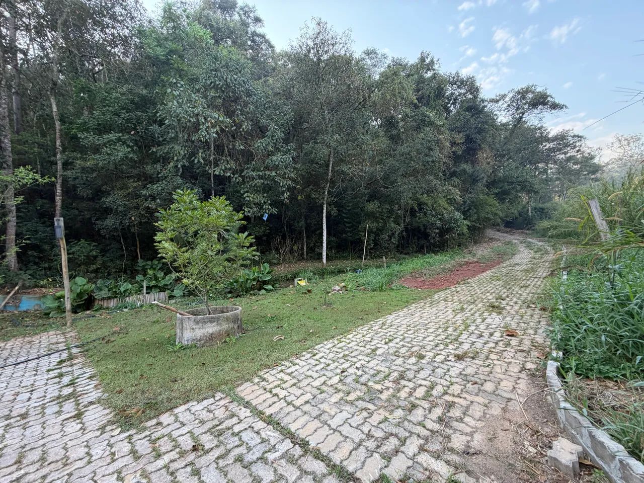 Alugo sítio  para Café colonial e/ou residência no CAXAMBÚ  - Foto 4