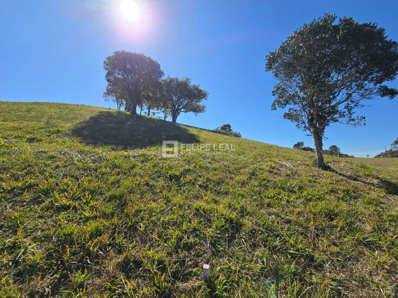 Terreno / Lote / Condomínio em Centro - Rancho Queimado