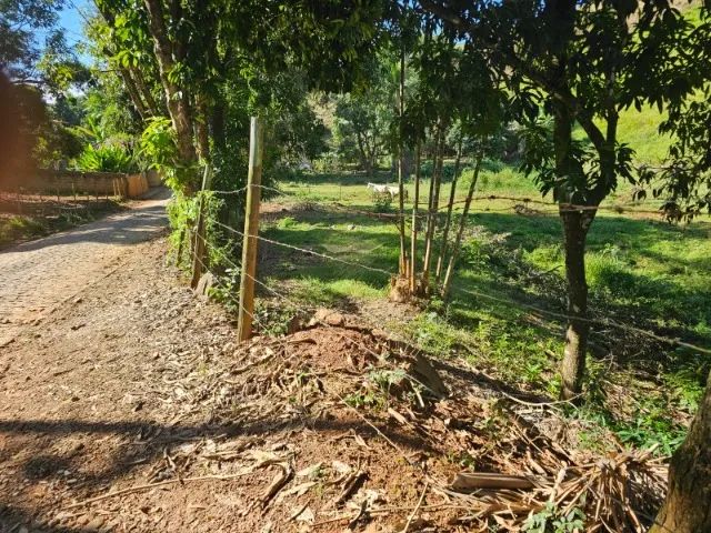 DOIS LOTES DE  450 M² CADA UM , LOCALIDADE SAMARCO * - Foto 3