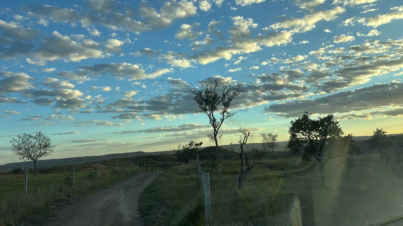 Fazenda de oportunidade - Foto 2