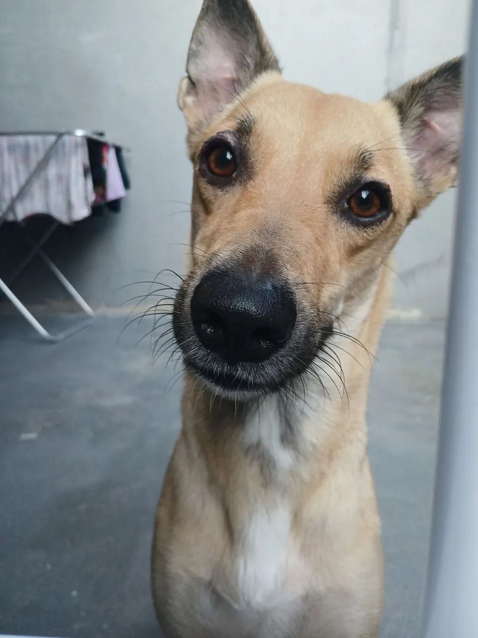 Doação  - Foto 2