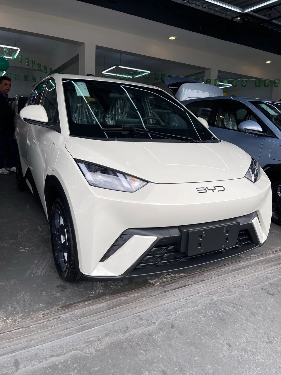 BYD Dolphin Mini (Elétrico) 2027