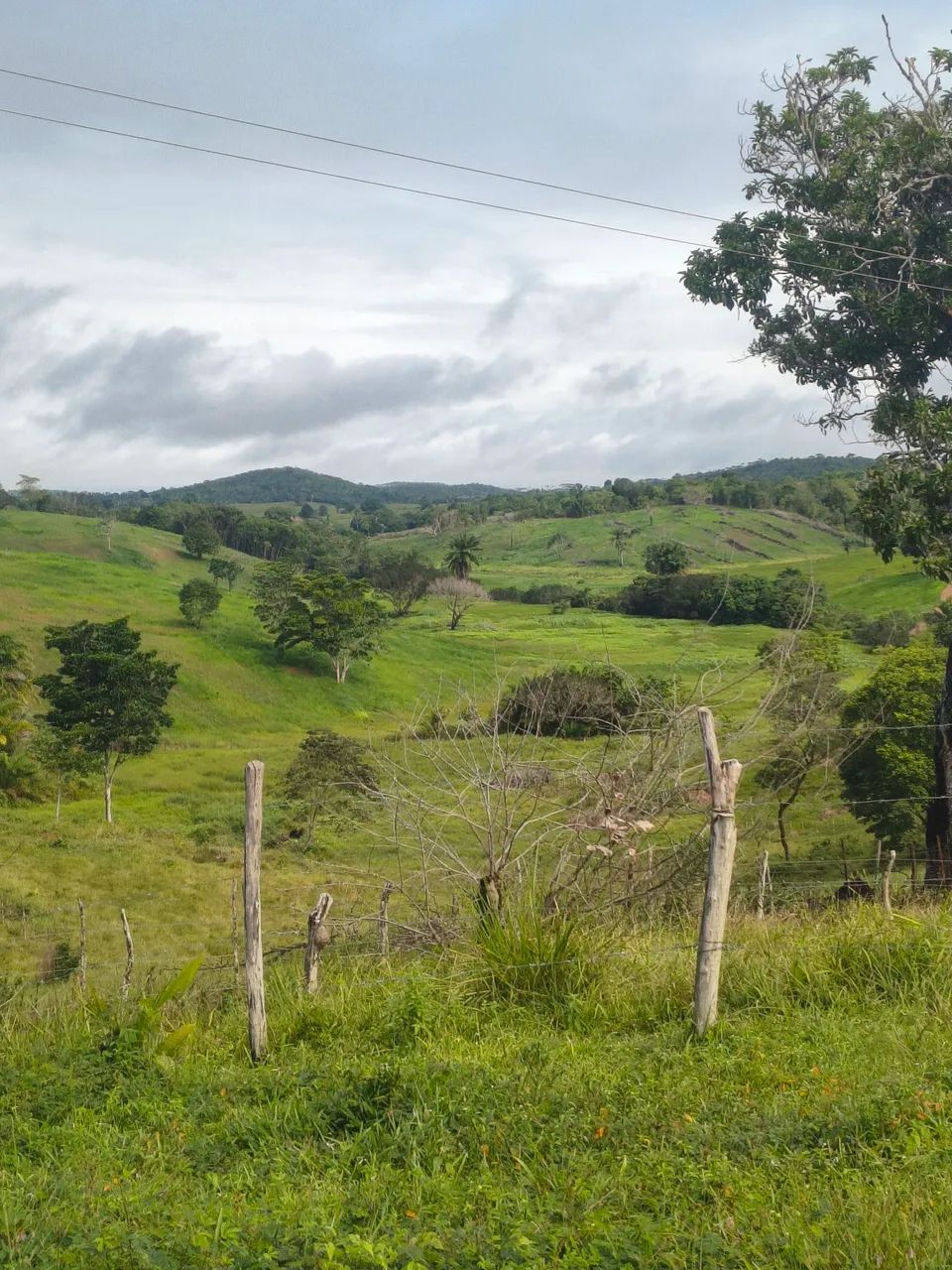 Fazenda com 150 tarefas - Foto 3
