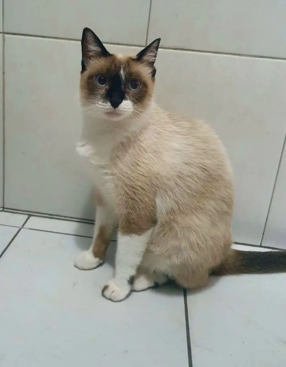 Maxine - Foto 2