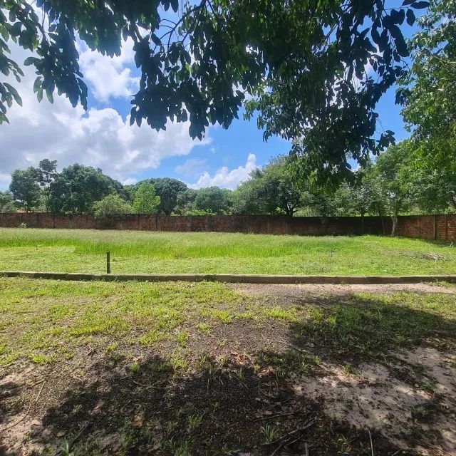 Vendo 2 hectares em Rosário - Foto 5