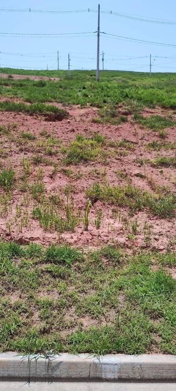 Terreno de 140m2 - Foto 5