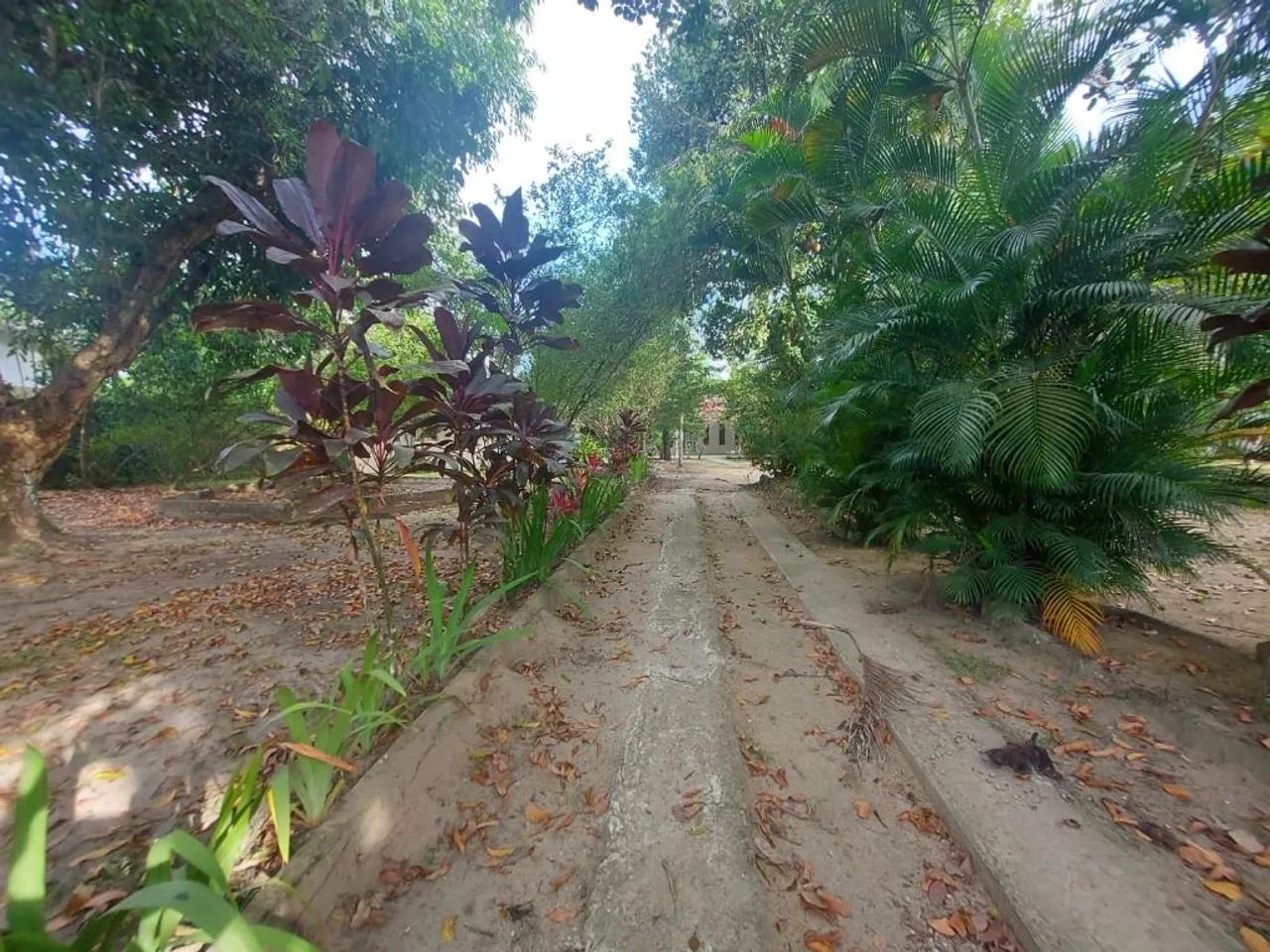 Chácara com 4 dormitórios à venda, 5000 m² por R$ 890.000,00 - Aldeia - Camaragibe/PE - Foto 5