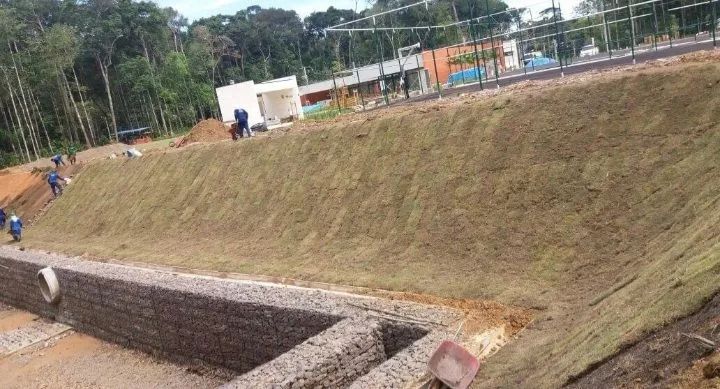 Venda e plantio de grama - Foto 2
