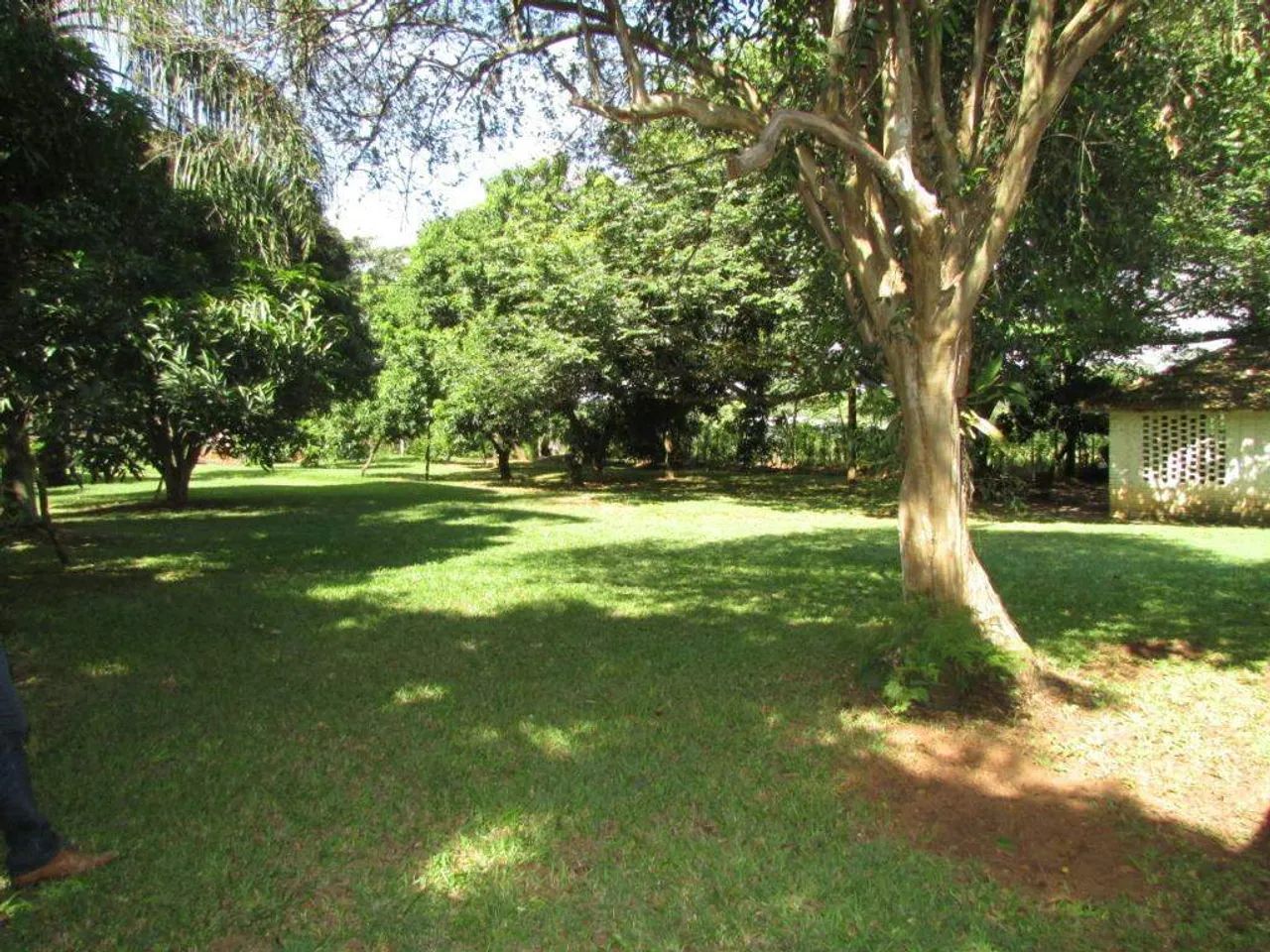 Área à venda, 43300 m² - Campestre - Piracicaba/SP - Foto 4