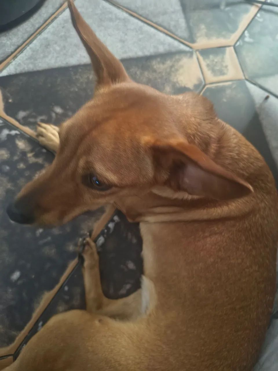 Doação 